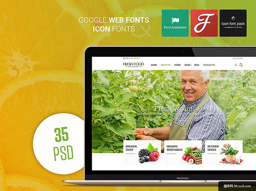 蔬菜水果 綠色有機食品 食品電子商務 電子商務 商務 購物 餐飲網頁網頁界面網頁設計 餐飲網頁網頁界面網頁設計