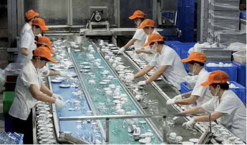 深圳餐具消毒服務機構技術領先,有效推廣循環經濟